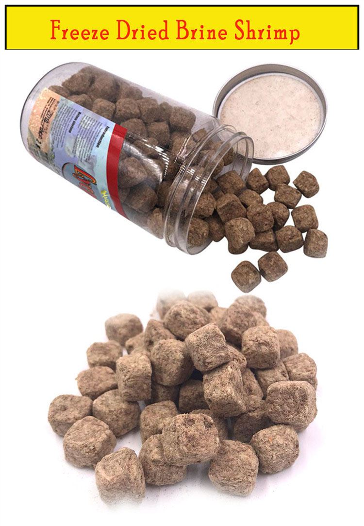 Freeze Dried brine shrimp