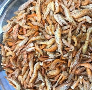 FD River Shrimp